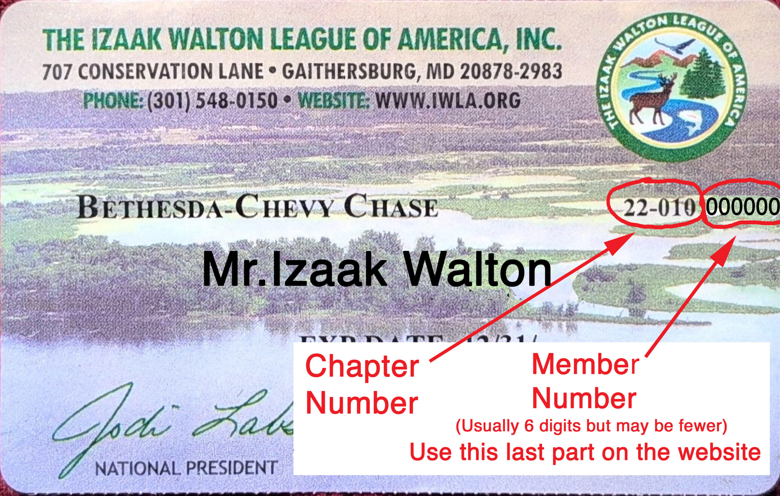 Example B-CC IWLA membership card showing where to find the Member Number